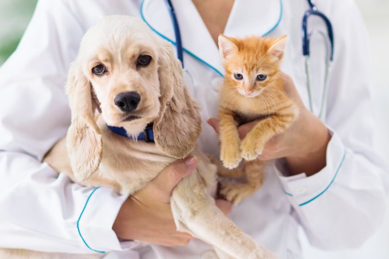Spaying & Neutering